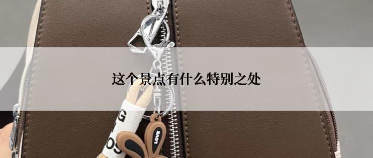 这个景点有什么特别之处