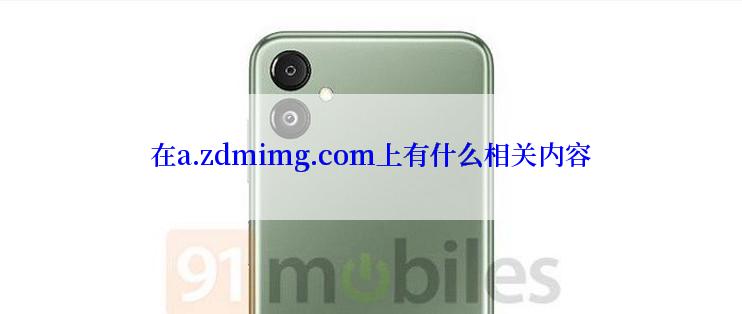 在a.zdmimg.com上有什么相关内容