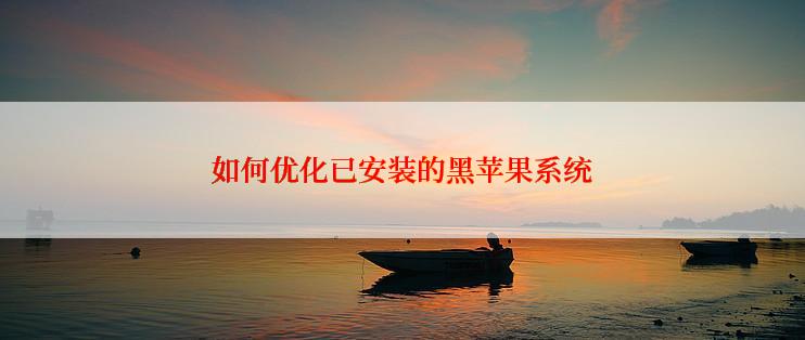 如何优化已安装的黑苹果系统