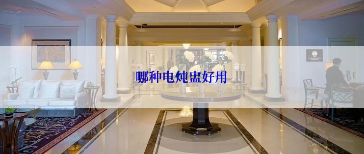 哪种电炖盅好用