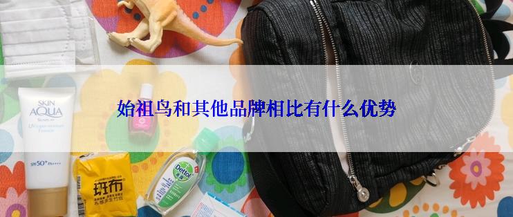 始祖鸟和其他品牌相比有什么优势