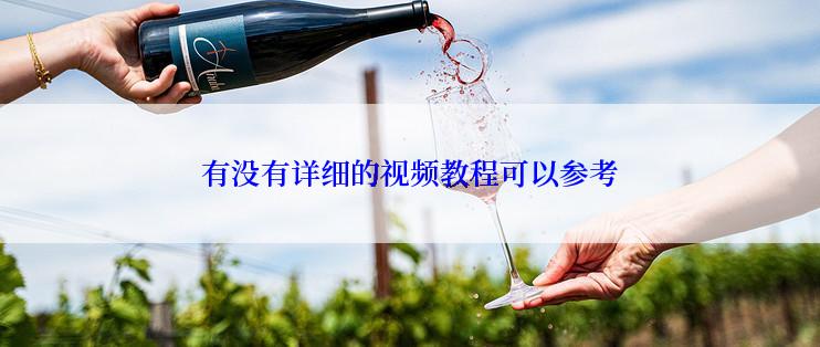 有没有详细的视频教程可以参考