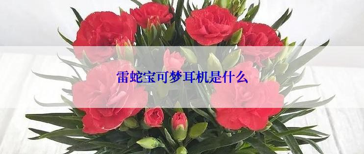 雷蛇宝可梦耳机是什么