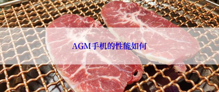 AGM手机的性能如何