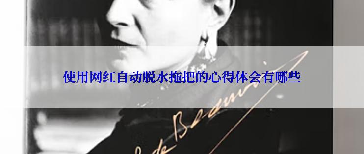 使用网红自动脱水拖把的心得体会有哪些