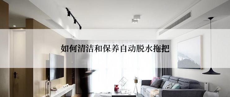 如何清洁和保养自动脱水拖把