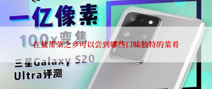 在盐帮菜之乡可以尝到哪些口味独特的菜肴