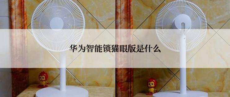 华为智能锁猫眼版是什么