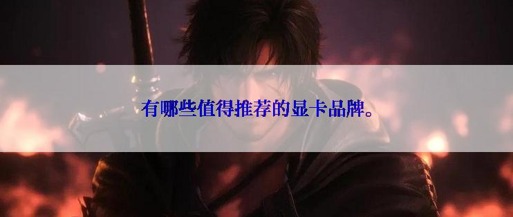 有哪些值得推荐的显卡品牌。