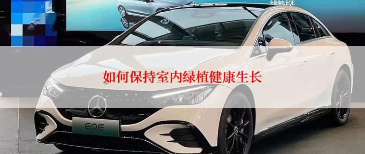 如何保持室内绿植健康生长