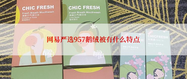 网易严选957鹅绒被有什么特点