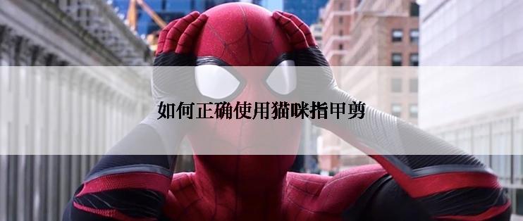 网红自动脱水拖把好用吗