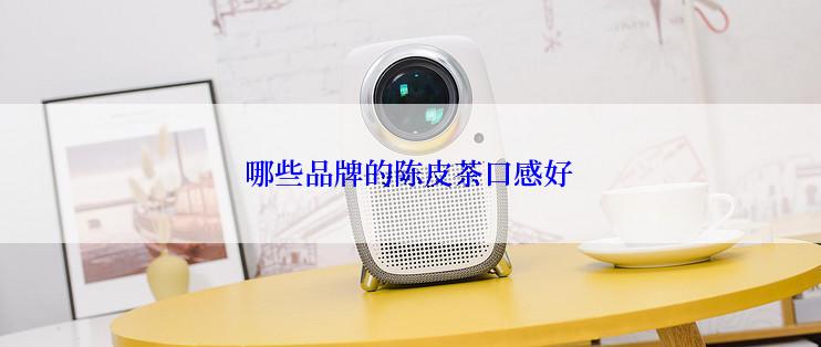哪些品牌的陈皮茶口感好