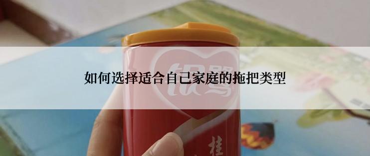如何选择适合自己家庭的拖把类型