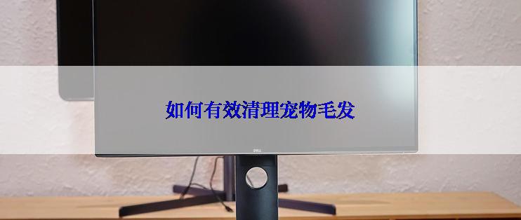 如何有效清理宠物毛发