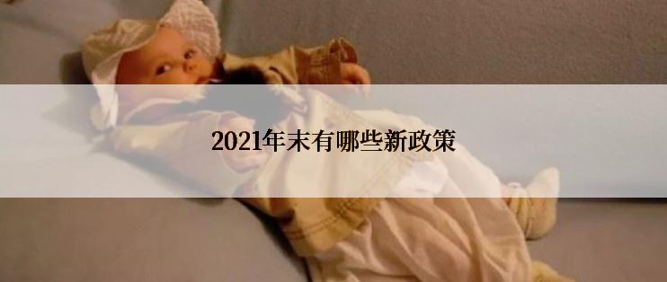 2021年末有哪些新政策