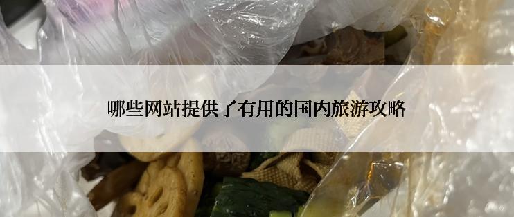 哪些网站提供了有用的国内旅游攻略