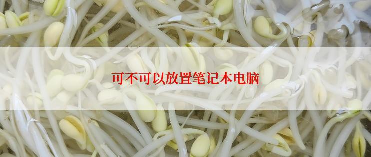 可不可以放置笔记本电脑