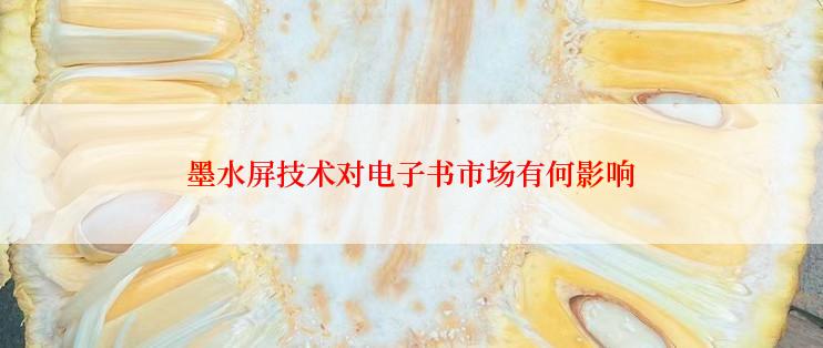 墨水屏技术对电子书市场有何影响