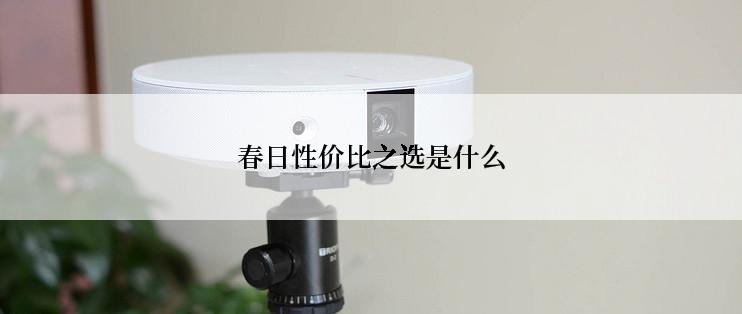 春日性价比之选是什么