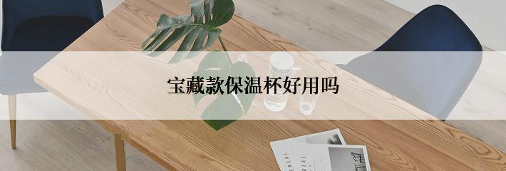 宝藏款保温杯好用吗
