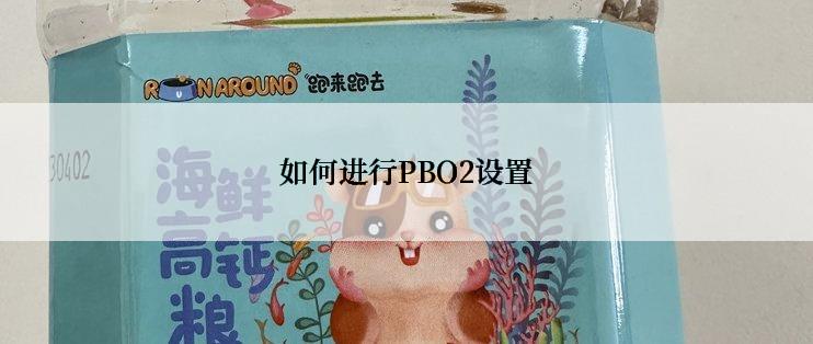 如何进行PBO2设置