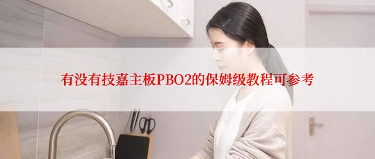 有没有技嘉主板PBO2的保姆级教程可参考