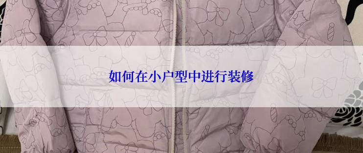 如何在小户型中进行装修