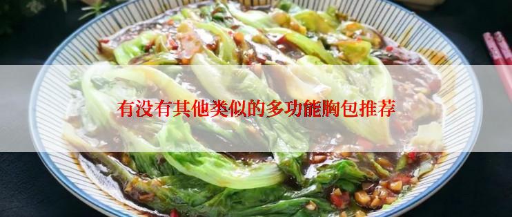 有没有其他类似的多功能胸包推荐