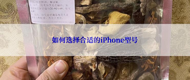 如何选择合适的iPhone型号