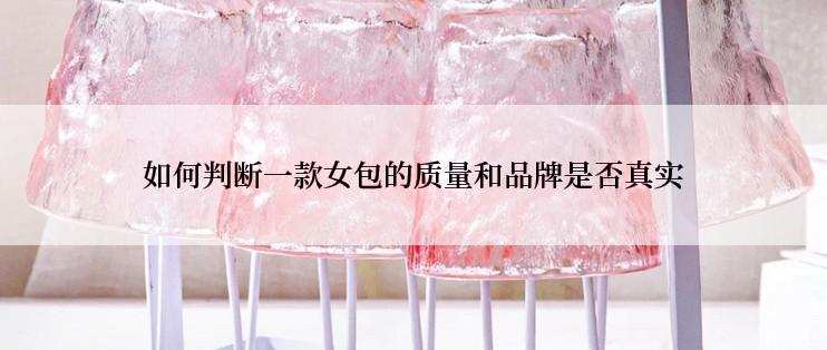 如何判断一款女包的质量和品牌是否真实