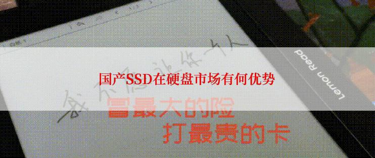 国产SSD在硬盘市场有何优势