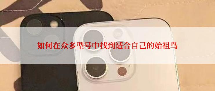 如何在众多型号中找到适合自己的始祖鸟