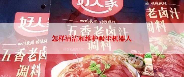 怎样清洁和维护吸尘机器人