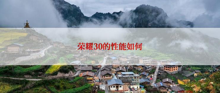 荣耀30的性能如何