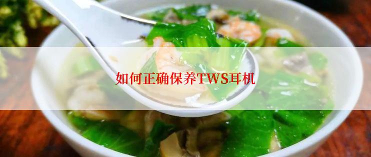 如何正确保养TWS耳机