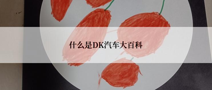 什么是DK汽车大百科