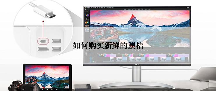 如何购买新鲜的澳桔