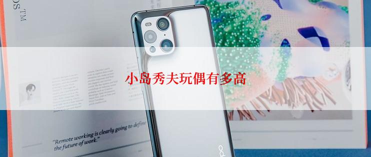 小岛秀夫玩偶有多高