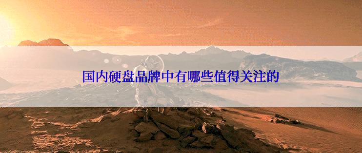 国内硬盘品牌中有哪些值得关注的