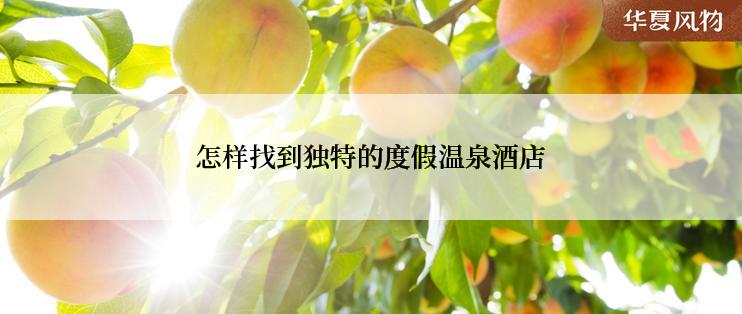 怎样找到独特的度假温泉酒店