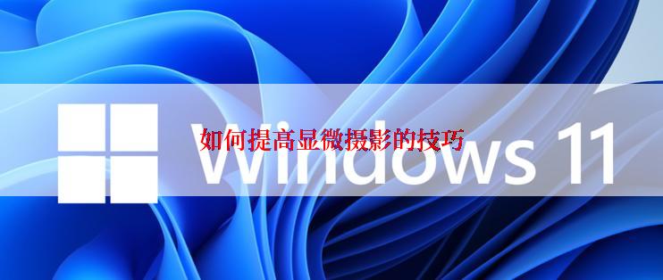 如何提高显微摄影的技巧