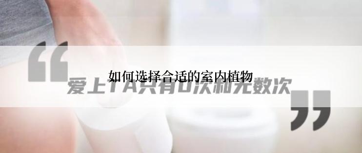 如何选择合适的室内植物