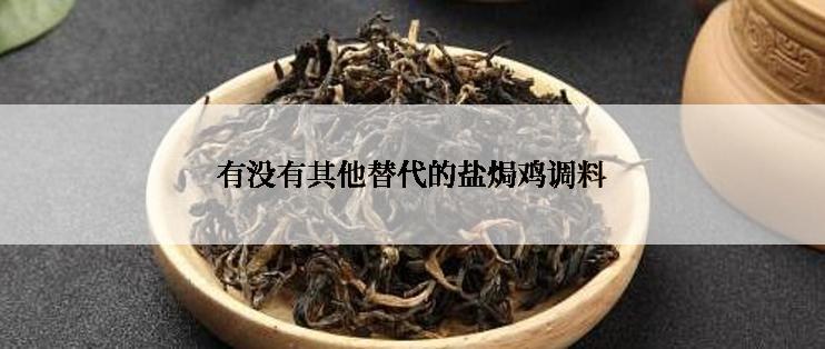 有没有其他替代的盐焗鸡调料
