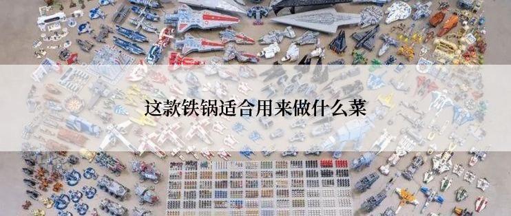 这款铁锅适合用来做什么菜