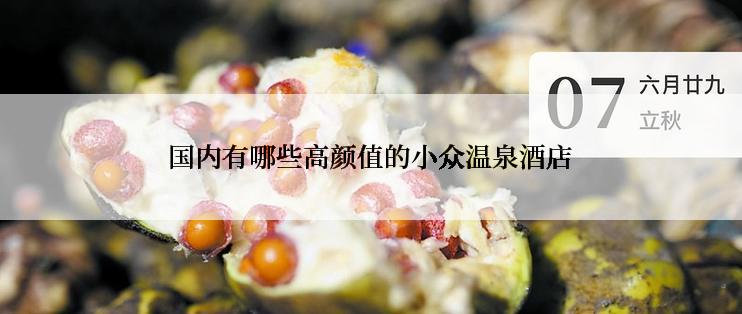 国内有哪些高颜值的小众温泉酒店