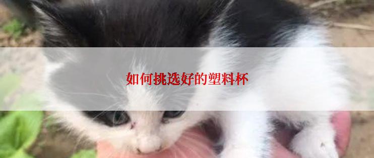 如何挑选好的塑料杯