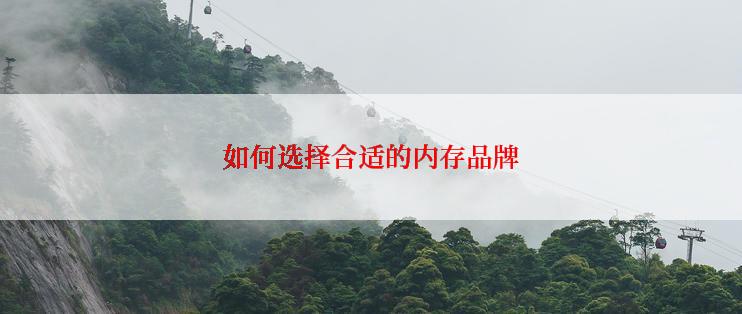 如何选择合适的内存品牌