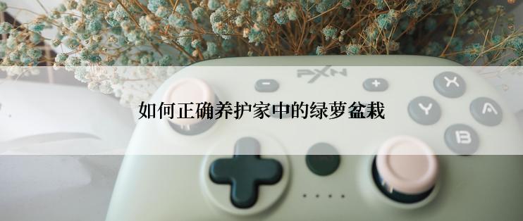 如何正确养护家中的绿萝盆栽