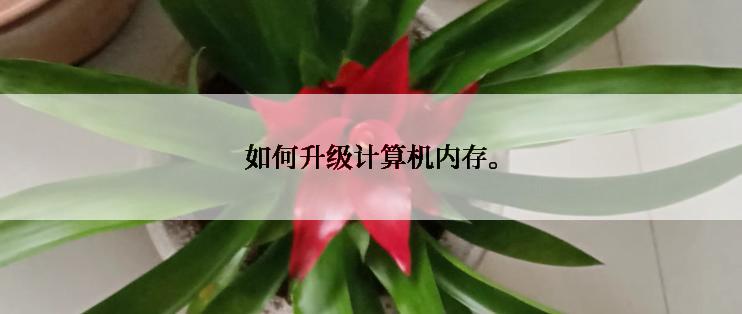 如何升级计算机内存。